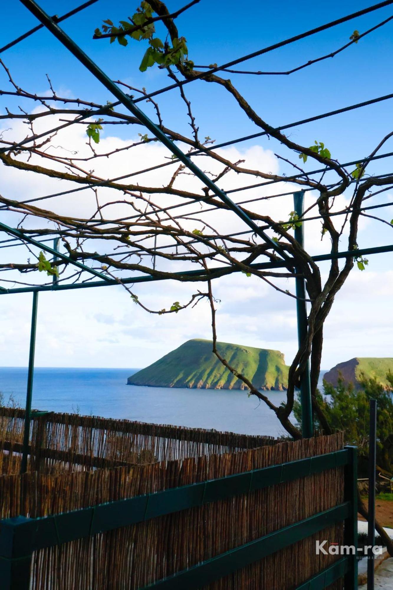 Casa Da Avo Couta Villa Angra do Heroísmo Exterior foto